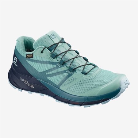 Salomon SENSE RIDE 2 GTX INVIS FIT W Womens Running Shoes Turquoise | Salomon South Africa